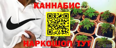 прущие грибы Дмитров