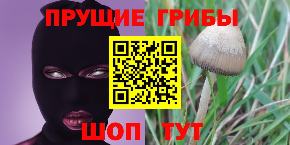 Псилоцибиновые грибы ЛСД  Вход с VPN  Новоалександровск 